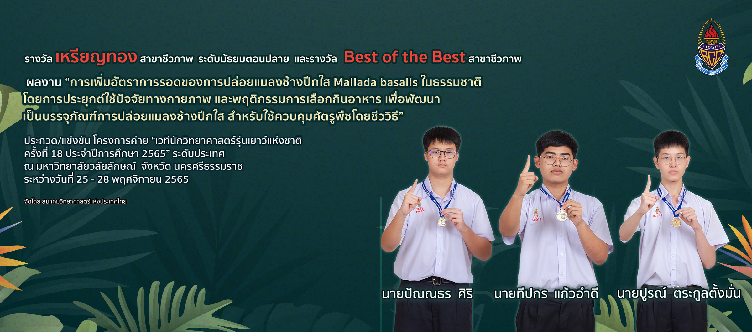 First slide