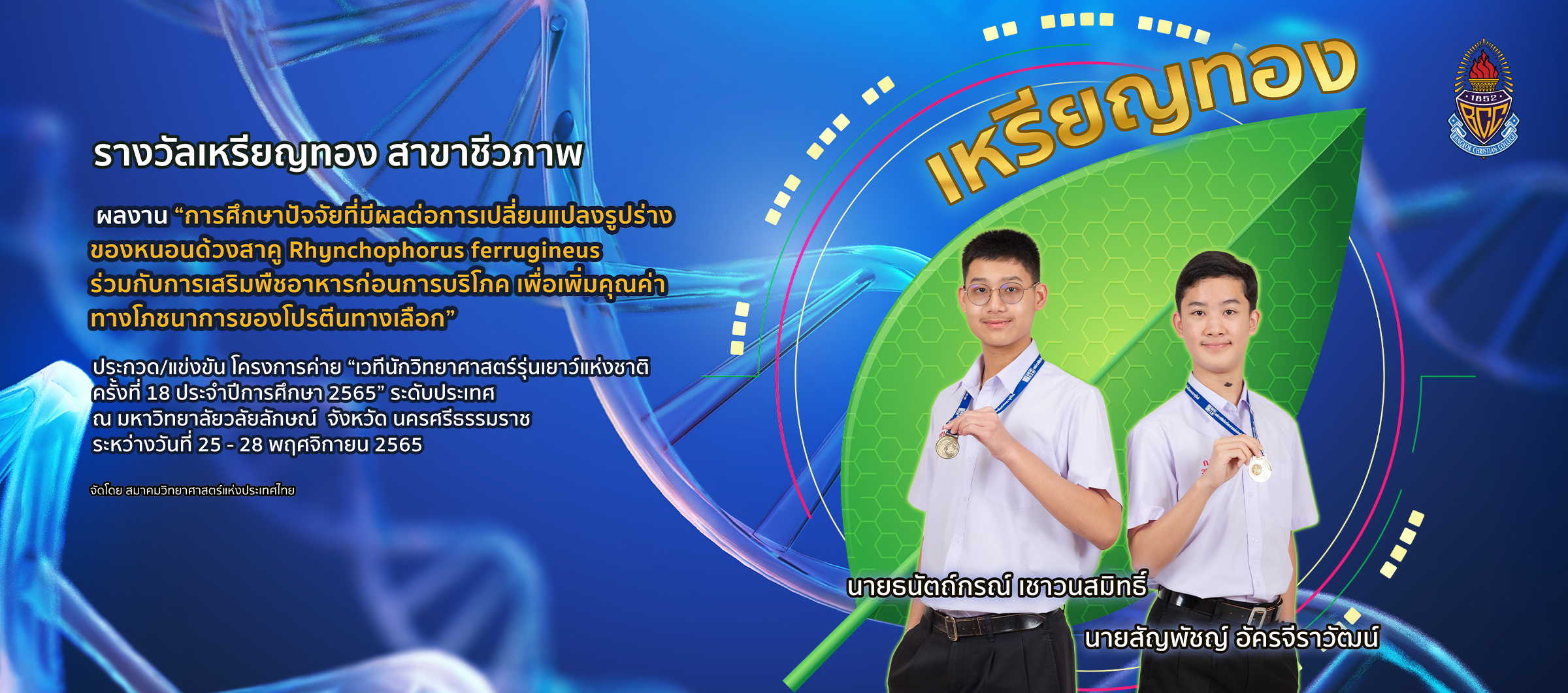 First slide